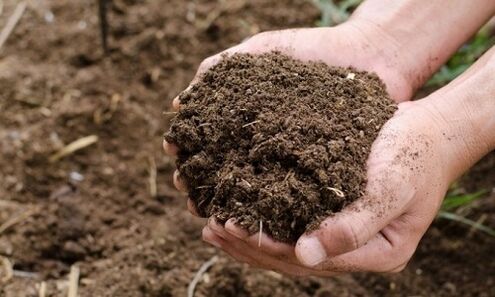soil as a source of human parasitic infection